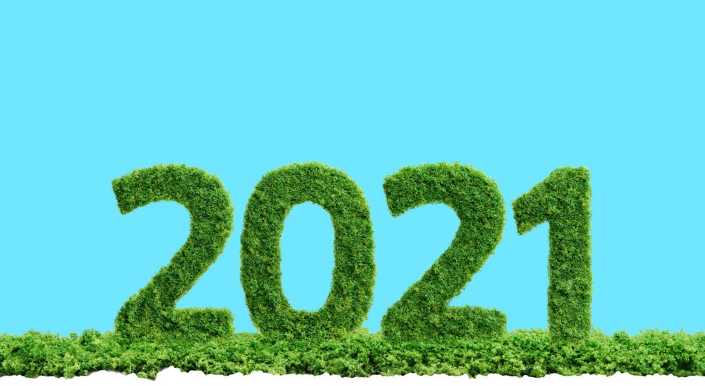 Resultaten en impact StartGreen en haar fondsen in 2020