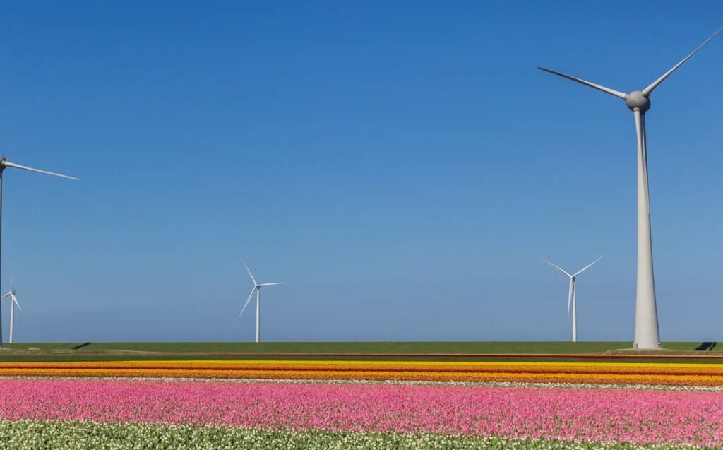 ‘We mogen geen segmenten uitsluiten’