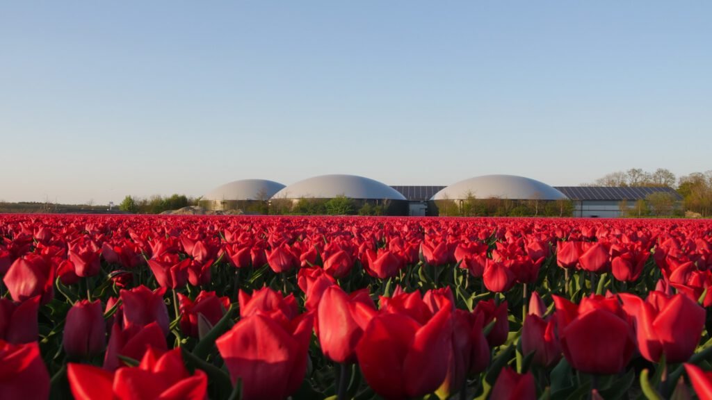 ‘Er is nu meer aandacht nodig voor een circulaire economie’